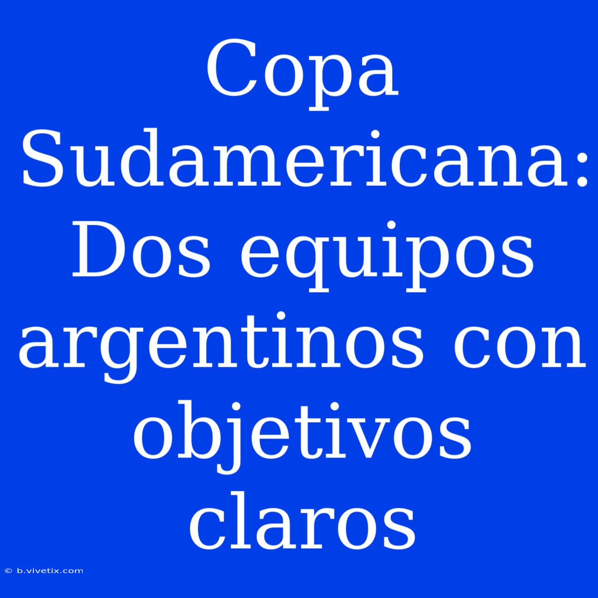 Copa Sudamericana:  Dos Equipos Argentinos Con Objetivos Claros 