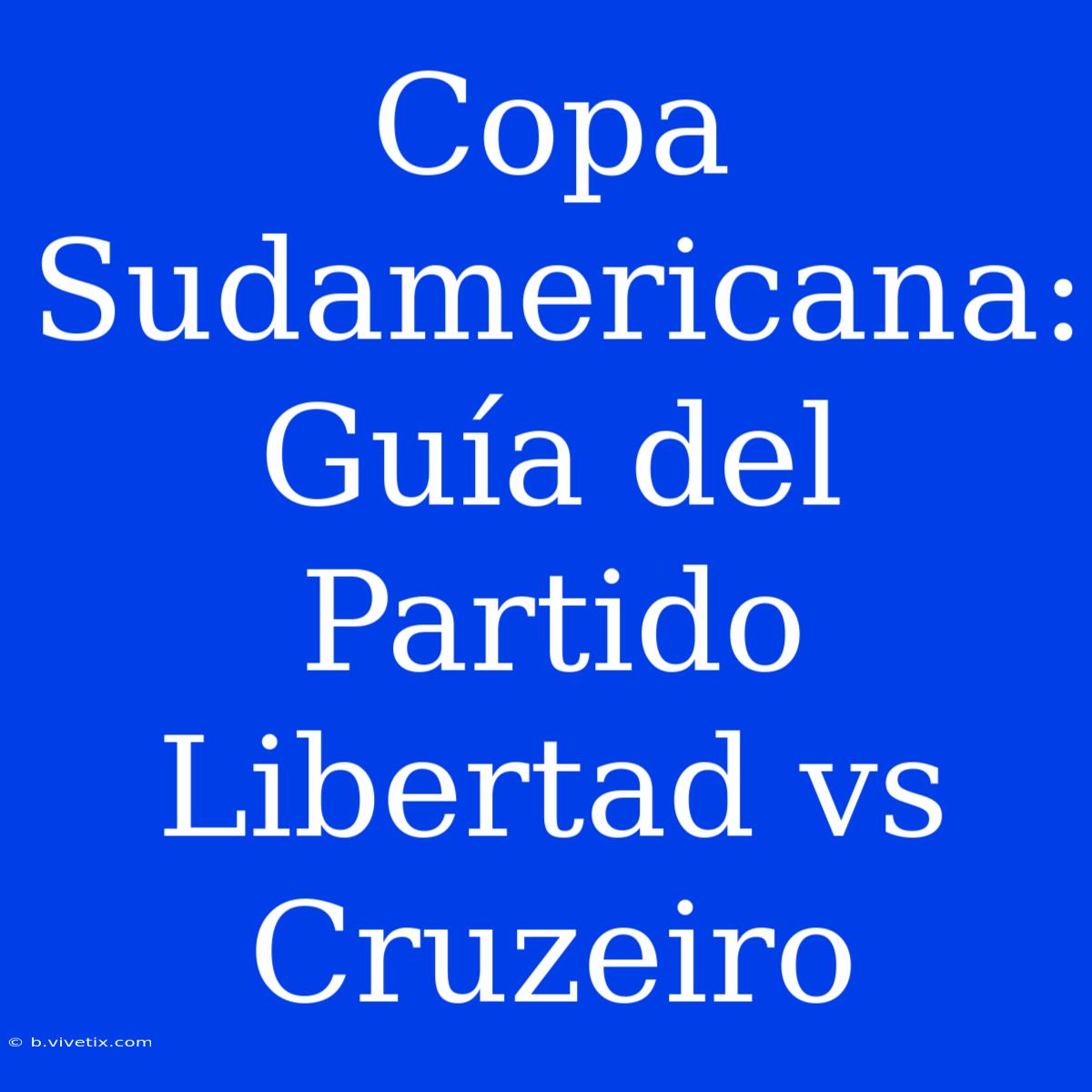 Copa Sudamericana: Guía Del Partido Libertad Vs Cruzeiro 