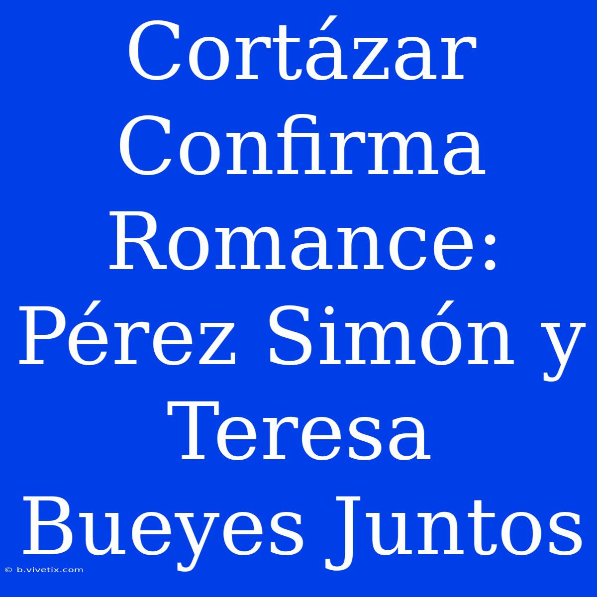 Cortázar Confirma Romance: Pérez Simón Y Teresa Bueyes Juntos