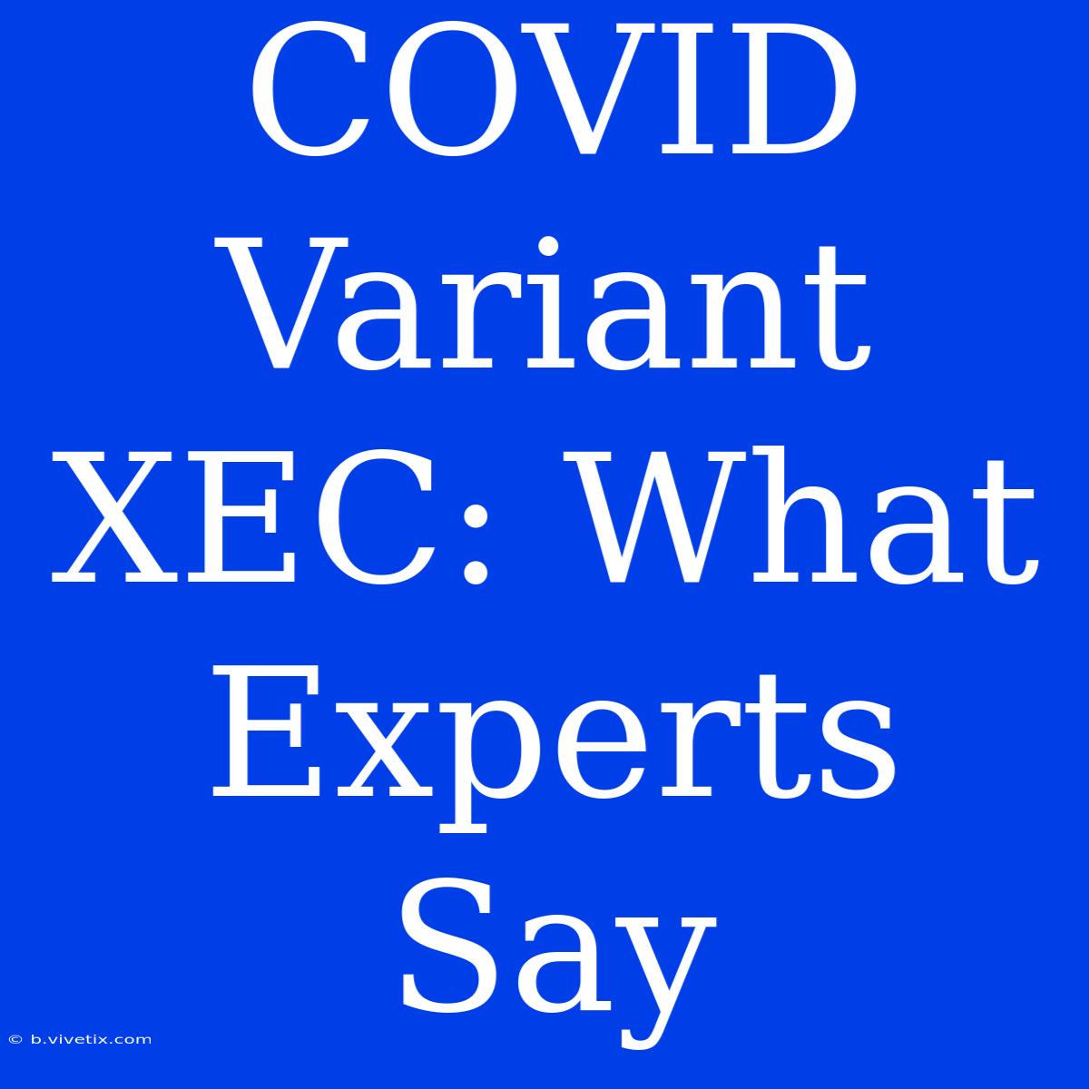 COVID Variant XEC: What Experts Say