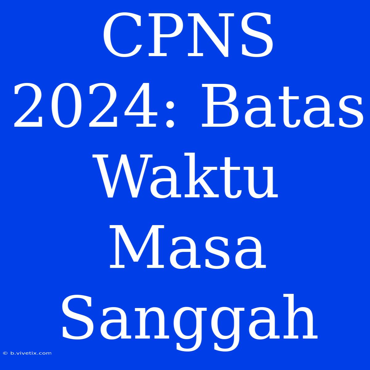 CPNS 2024: Batas Waktu Masa Sanggah