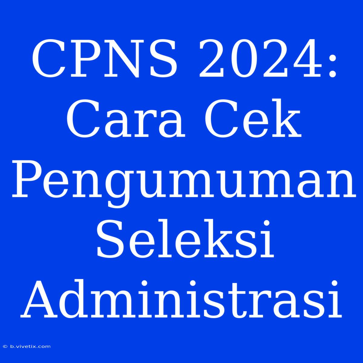 CPNS 2024: Cara Cek Pengumuman Seleksi Administrasi