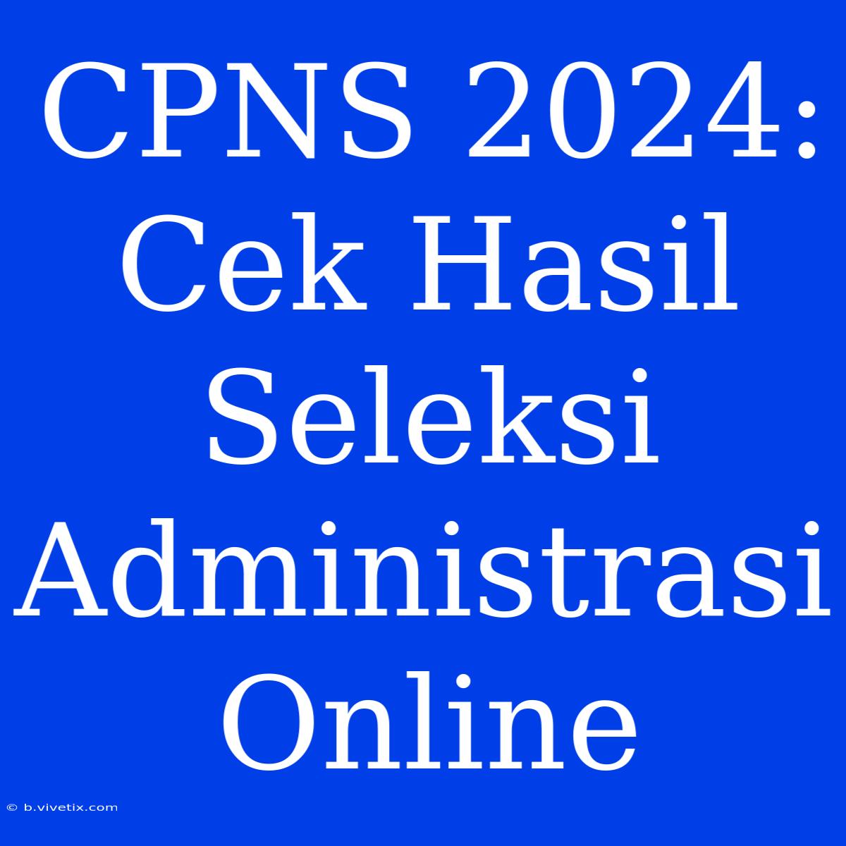 CPNS 2024: Cek Hasil Seleksi Administrasi Online