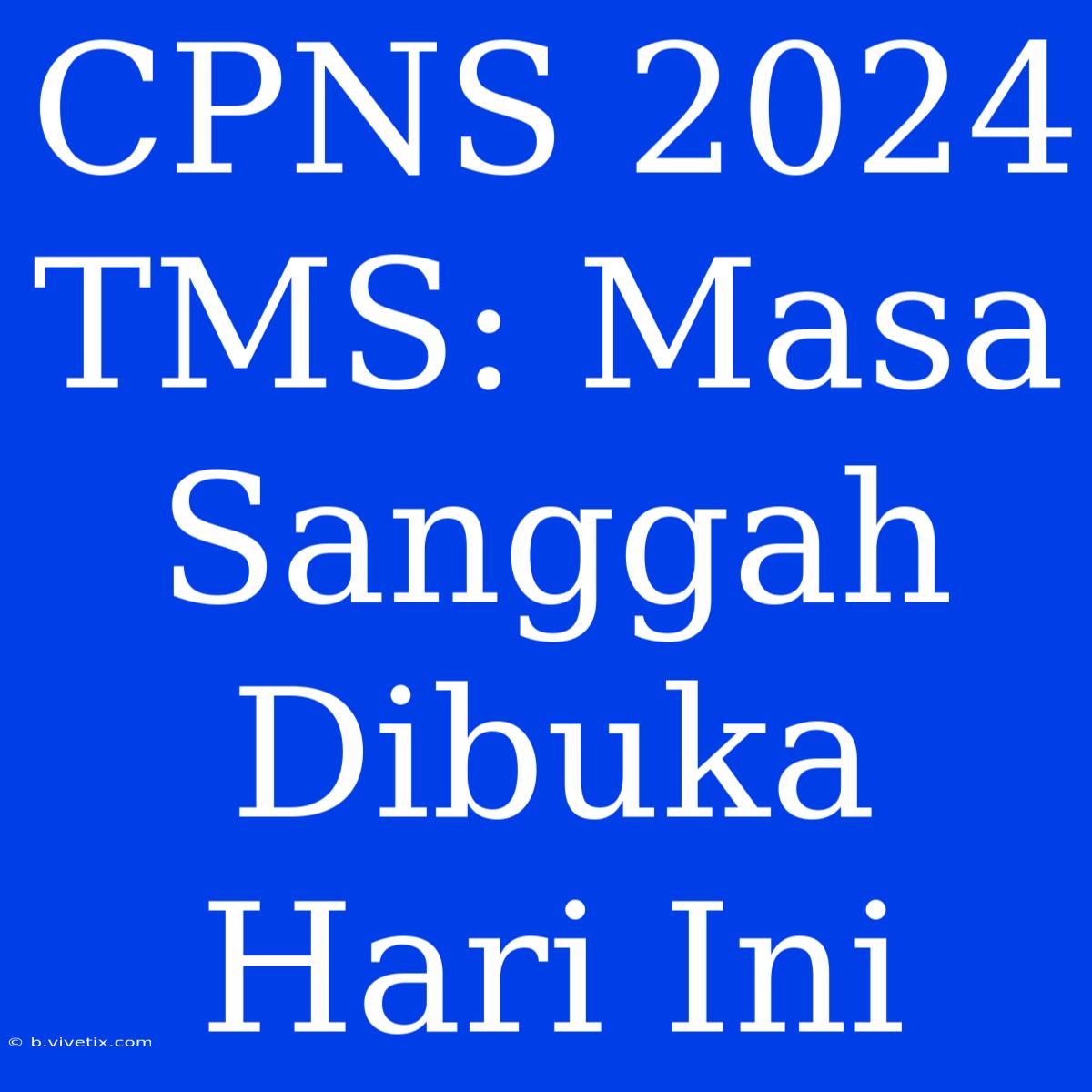 CPNS 2024 TMS: Masa Sanggah Dibuka Hari Ini