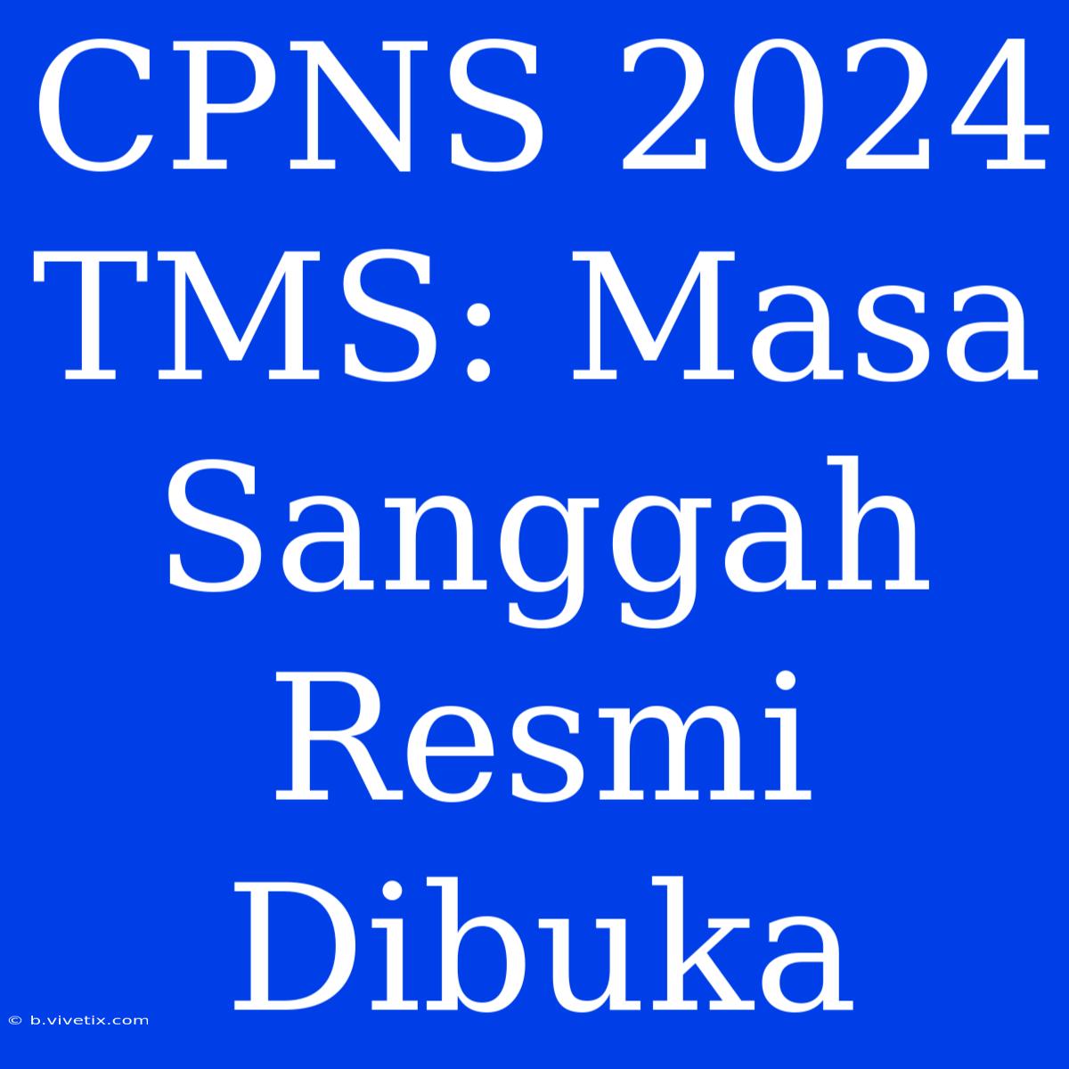 CPNS 2024 TMS: Masa Sanggah Resmi Dibuka 