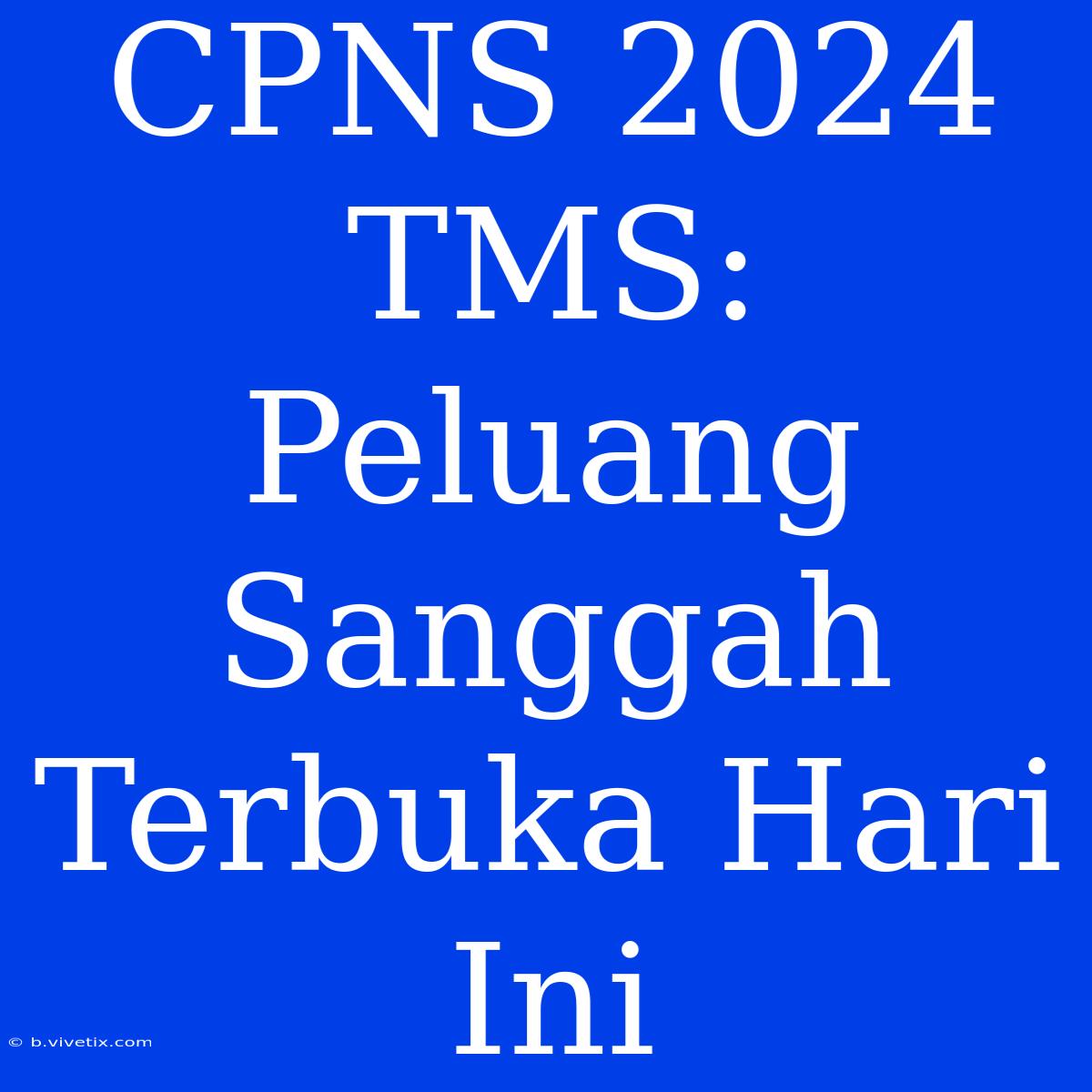 CPNS 2024 TMS: Peluang Sanggah Terbuka Hari Ini