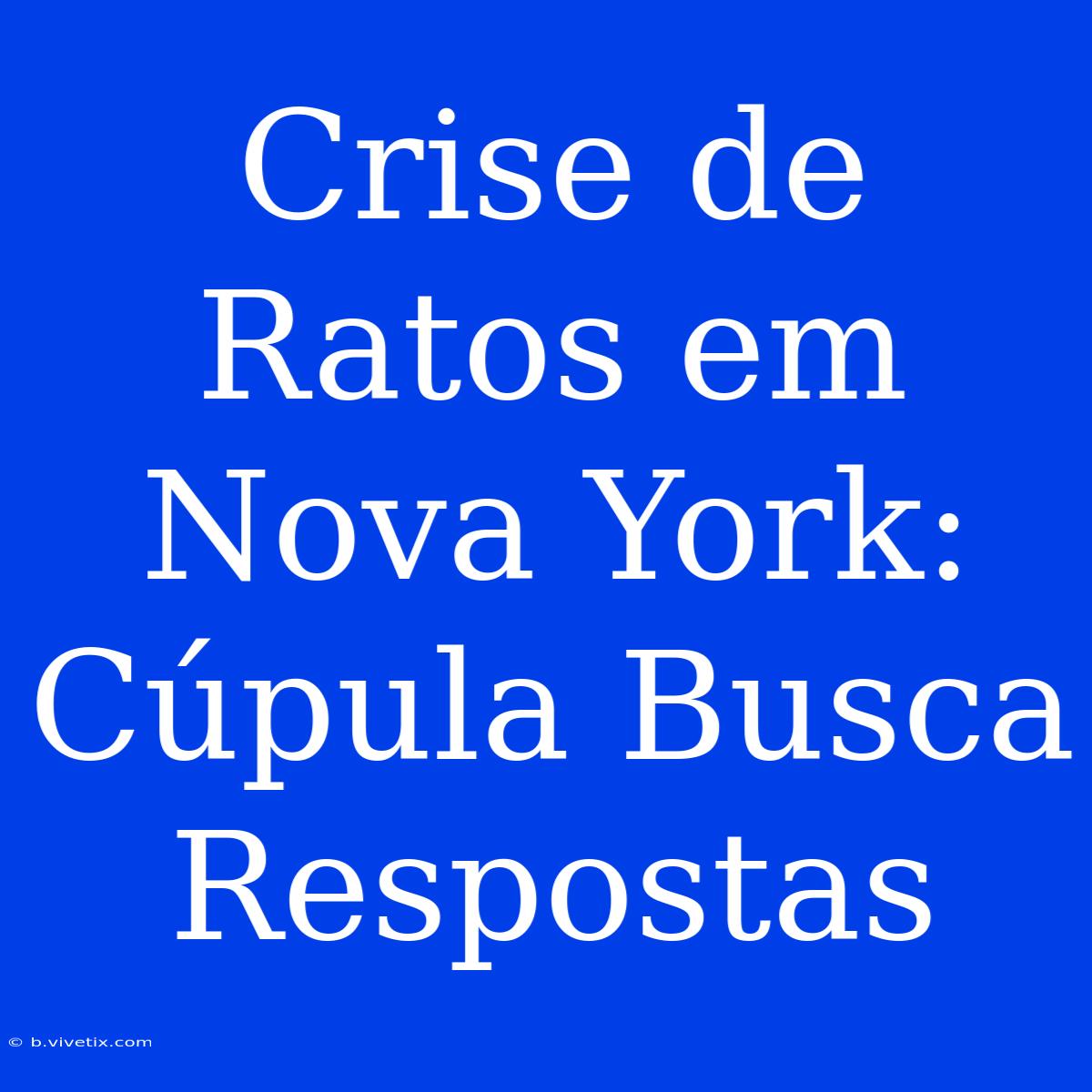 Crise De Ratos Em Nova York: Cúpula Busca Respostas