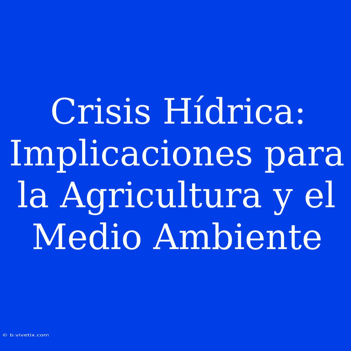 Crisis Hídrica: Implicaciones Para La Agricultura Y El Medio Ambiente