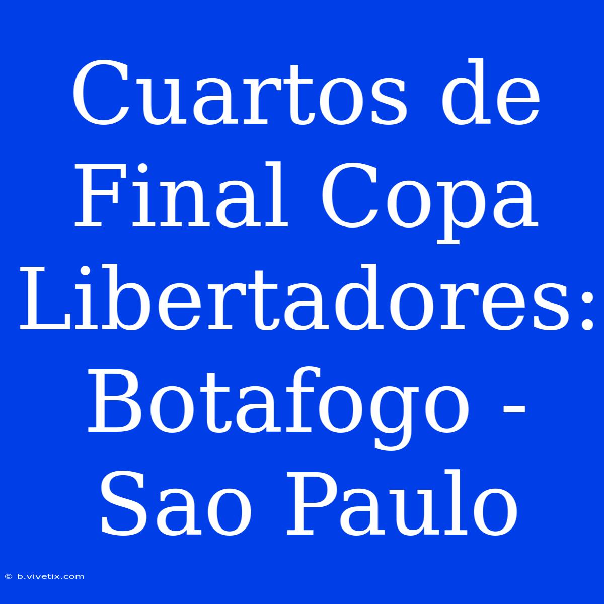 Cuartos De Final Copa Libertadores: Botafogo - Sao Paulo