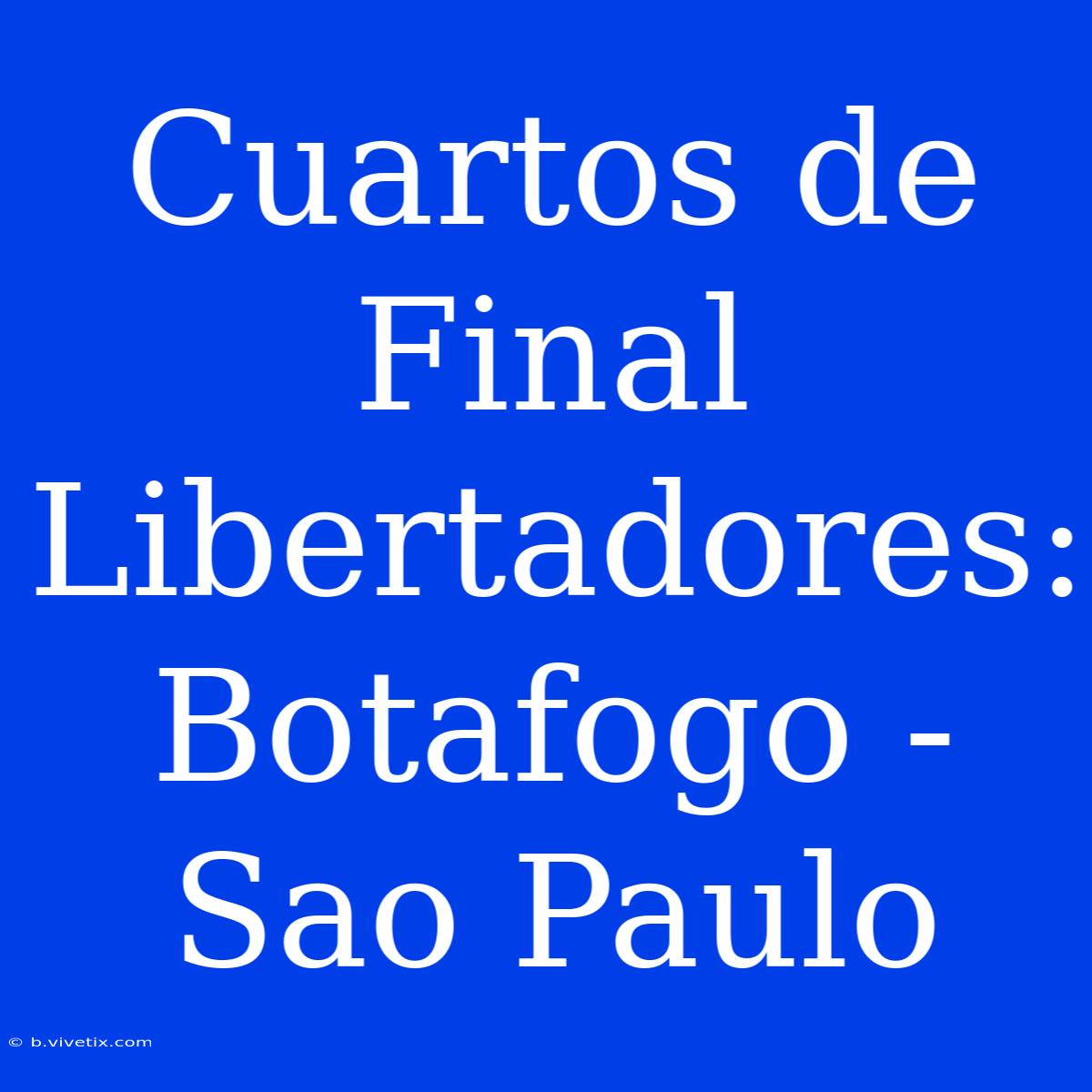 Cuartos De Final Libertadores: Botafogo - Sao Paulo