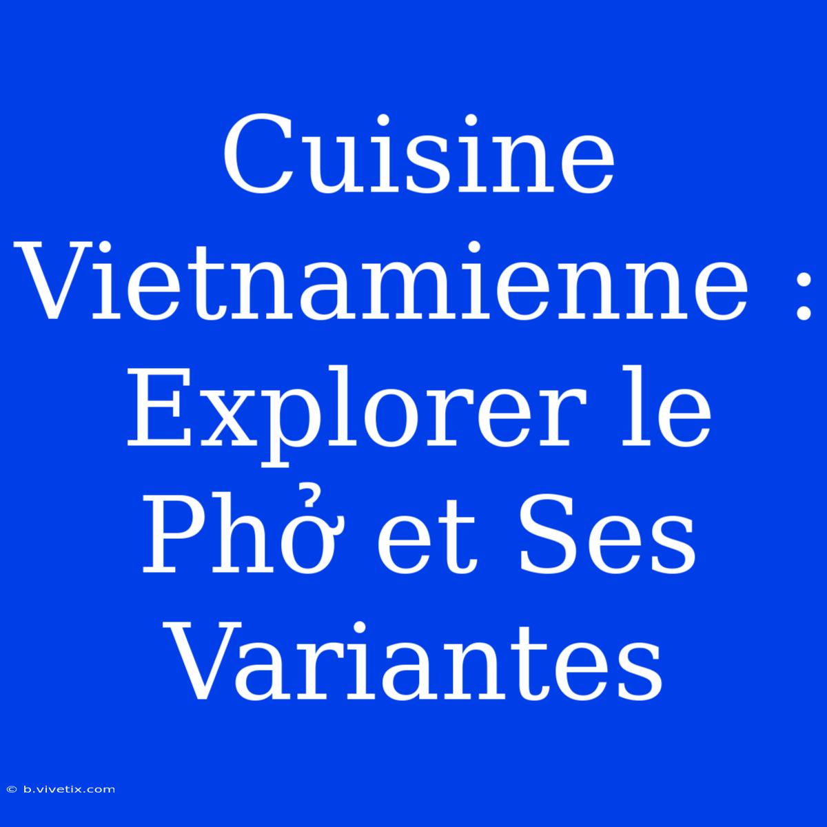 Cuisine Vietnamienne : Explorer Le Phở Et Ses Variantes