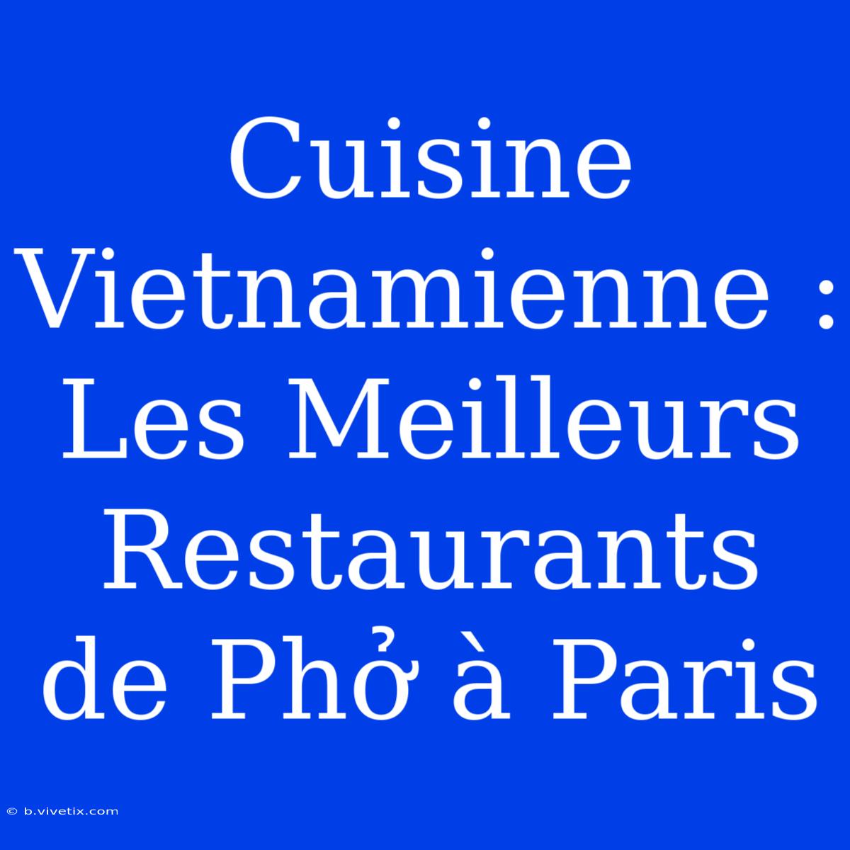 Cuisine Vietnamienne : Les Meilleurs Restaurants De Phở À Paris