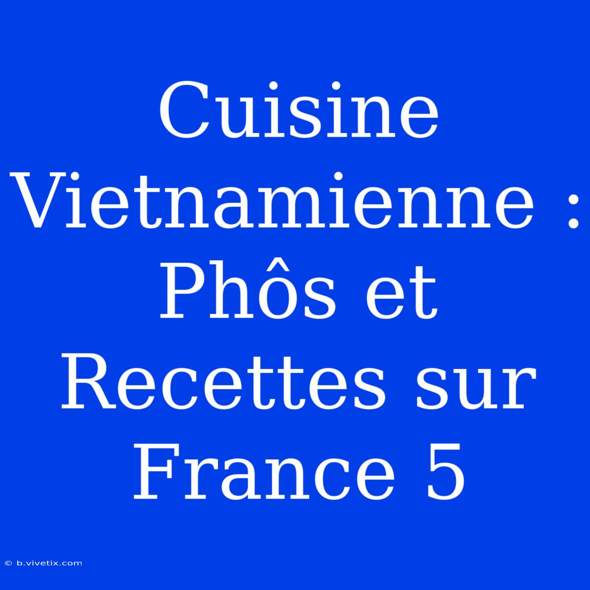 Cuisine Vietnamienne : Phôs Et Recettes Sur France 5