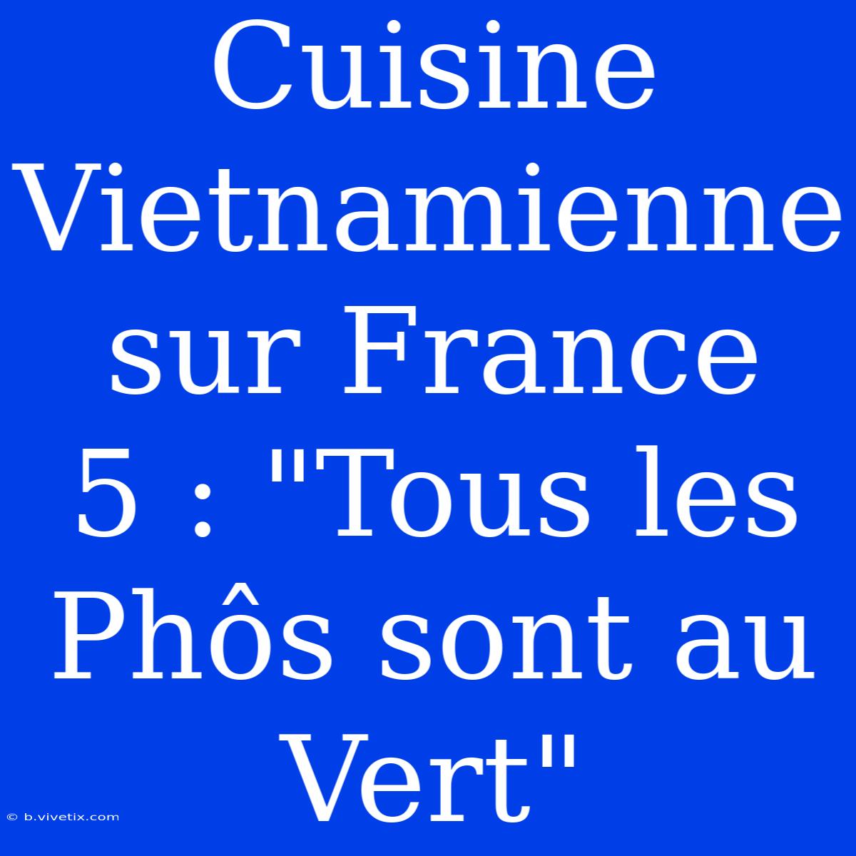 Cuisine Vietnamienne Sur France 5 : 