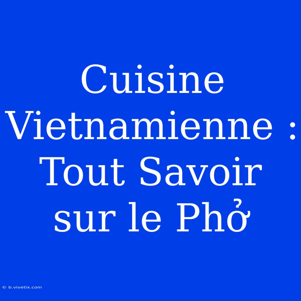 Cuisine Vietnamienne : Tout Savoir Sur Le Phở