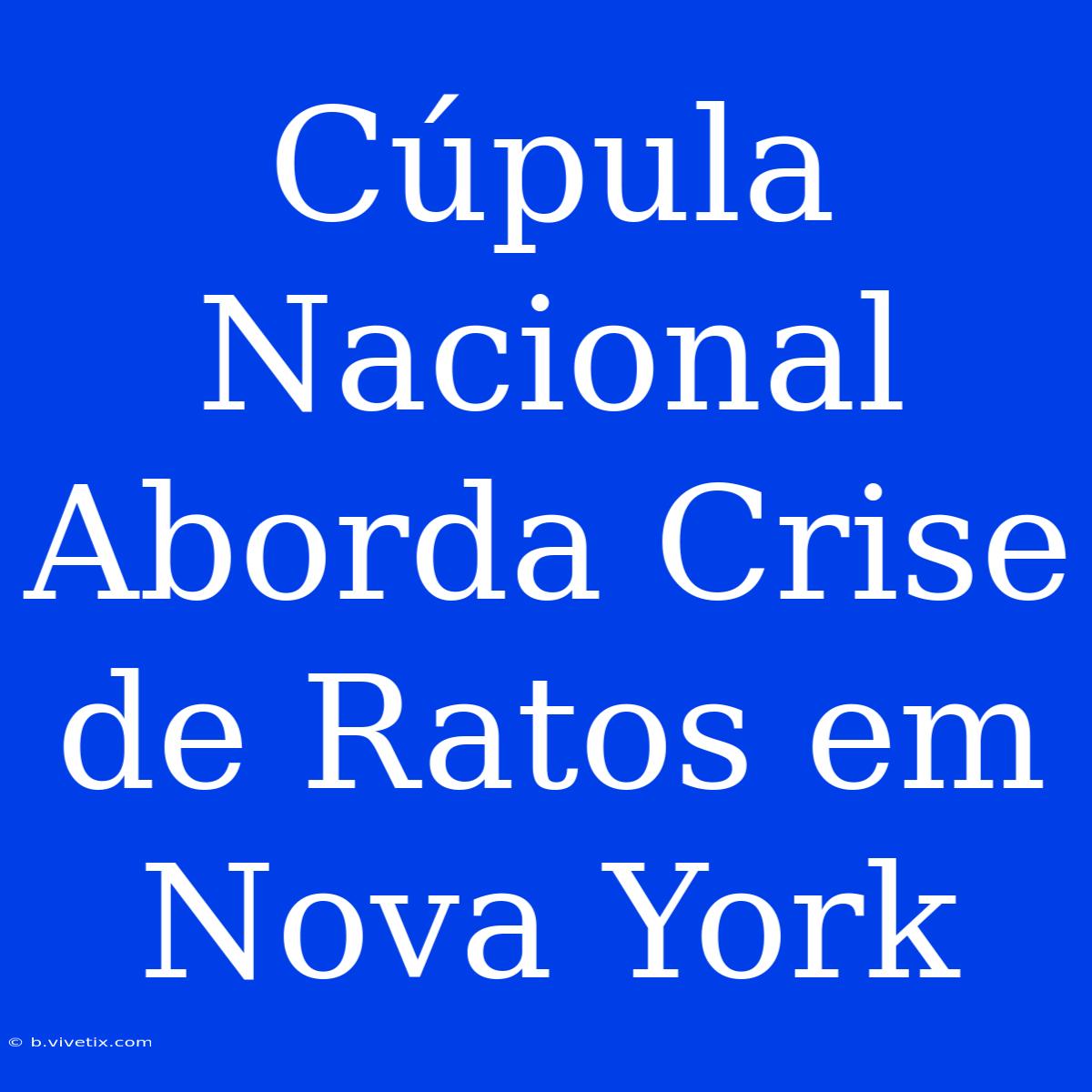 Cúpula Nacional Aborda Crise De Ratos Em Nova York