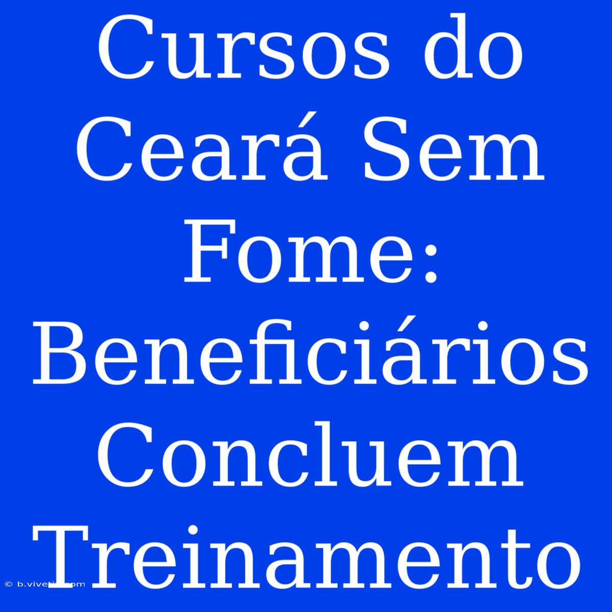 Cursos Do Ceará Sem Fome: Beneficiários Concluem Treinamento