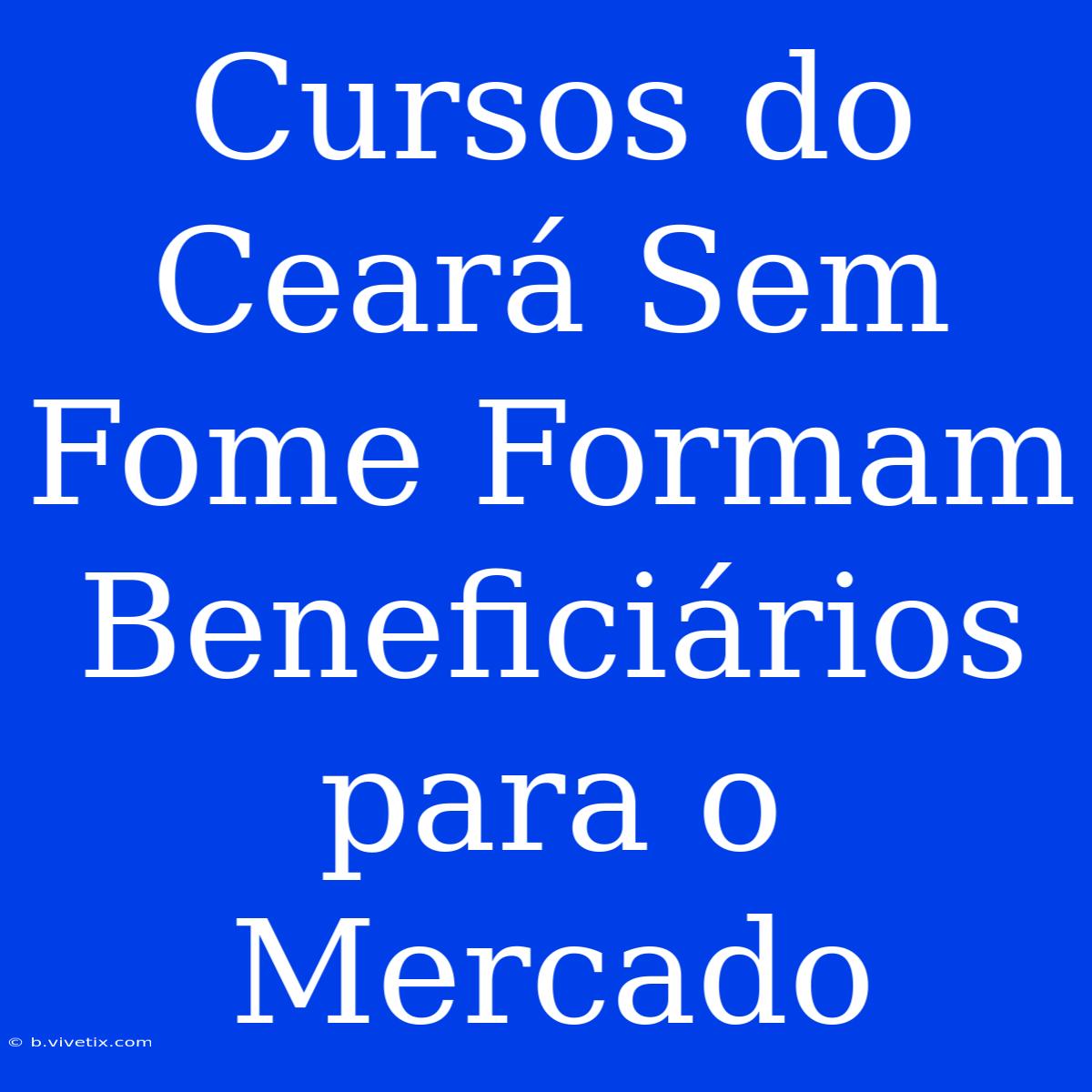 Cursos Do Ceará Sem Fome Formam Beneficiários Para O Mercado