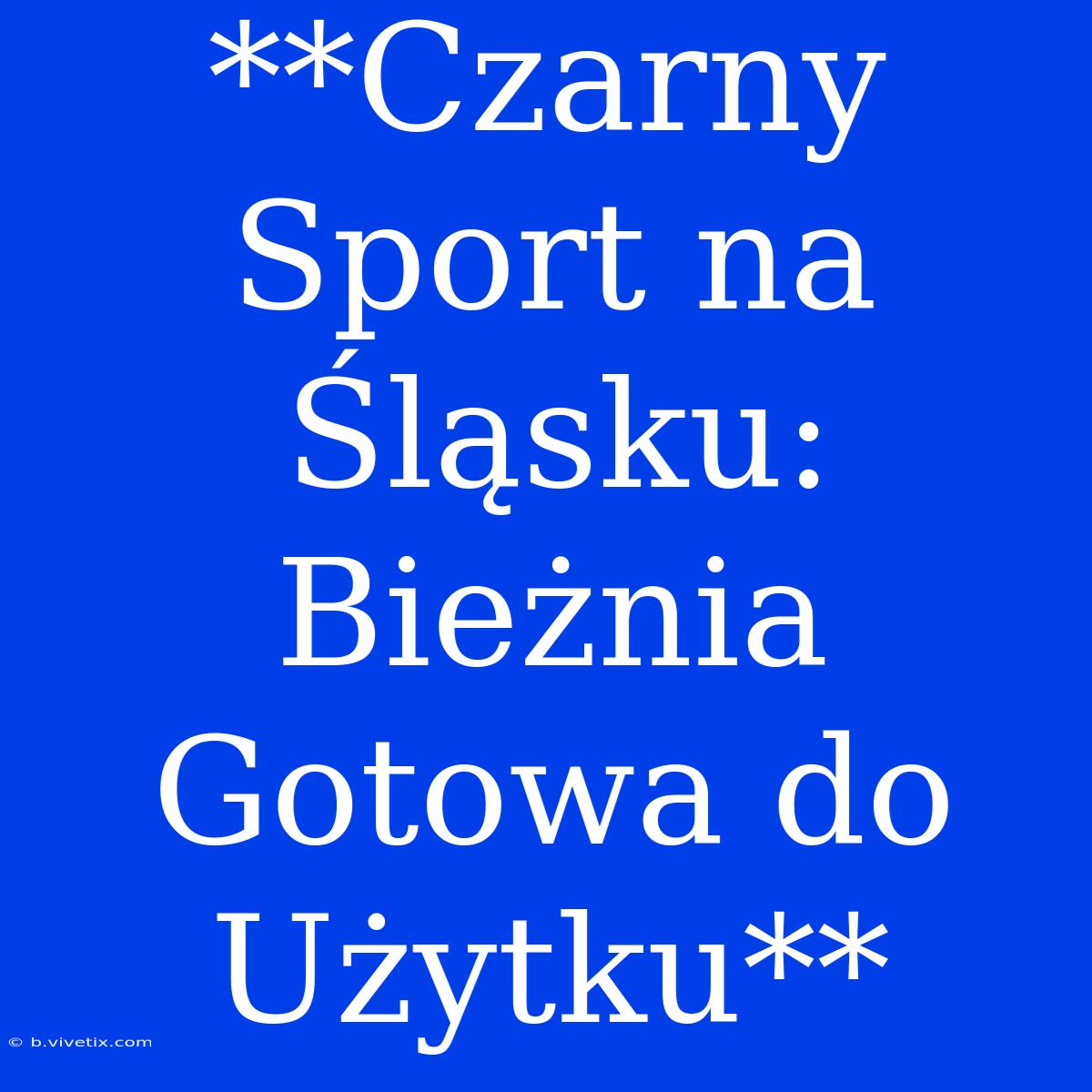 **Czarny Sport Na Śląsku: Bieżnia Gotowa Do Użytku**