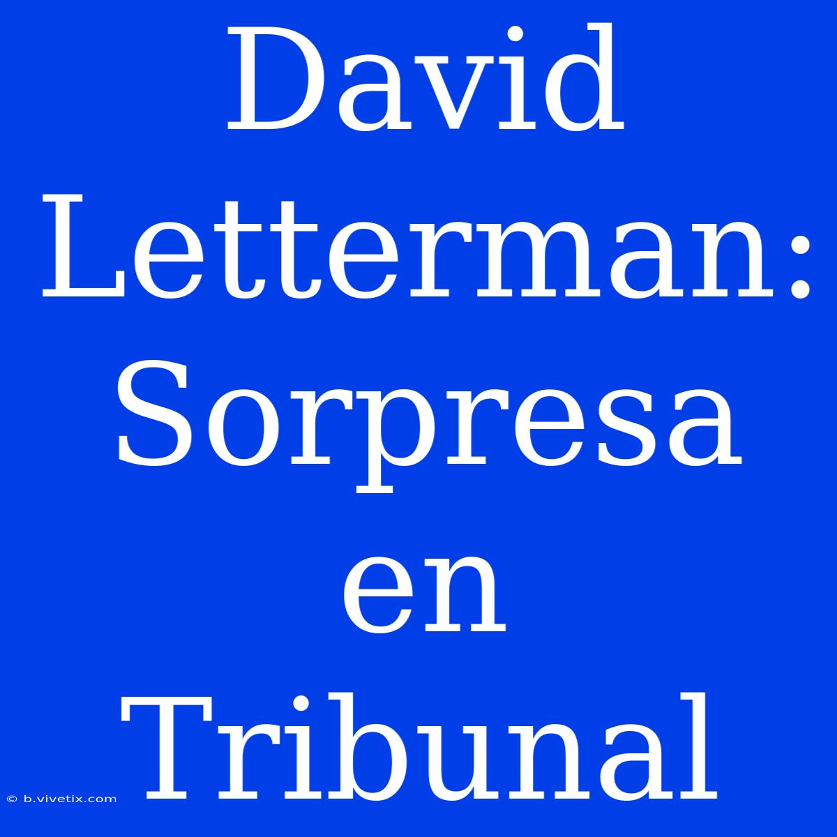 David Letterman: Sorpresa En Tribunal