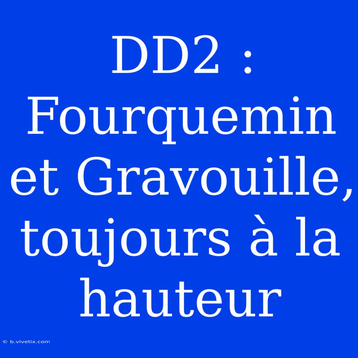 DD2 : Fourquemin Et Gravouille, Toujours À La Hauteur