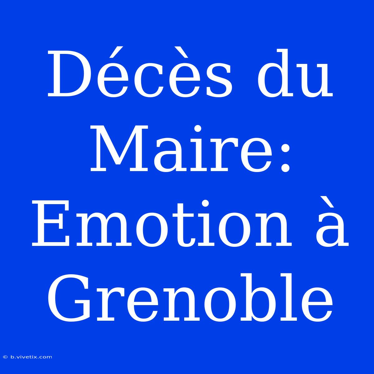 Décès Du Maire: Emotion À Grenoble