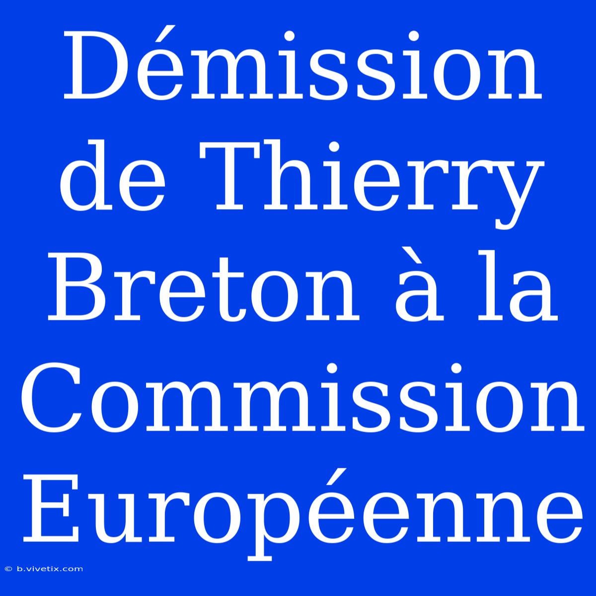 Démission De Thierry Breton À La Commission Européenne