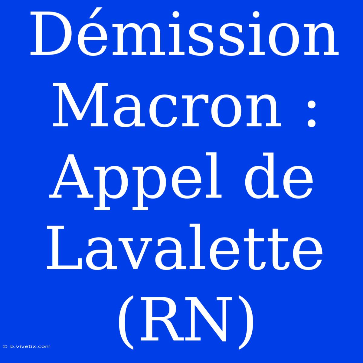 Démission Macron : Appel De Lavalette (RN)