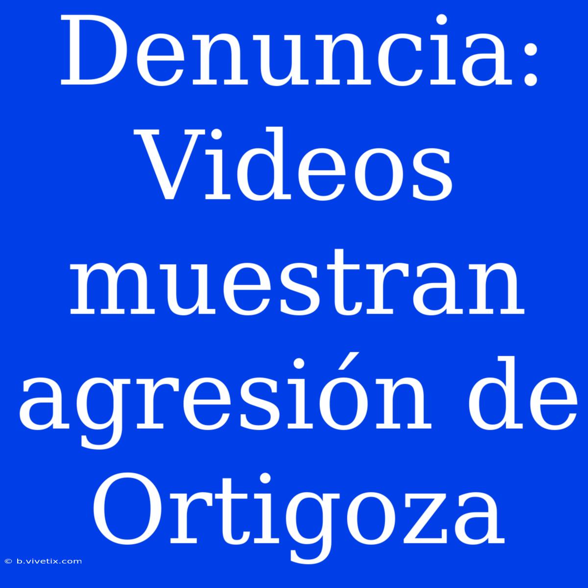 Denuncia: Videos Muestran Agresión De Ortigoza