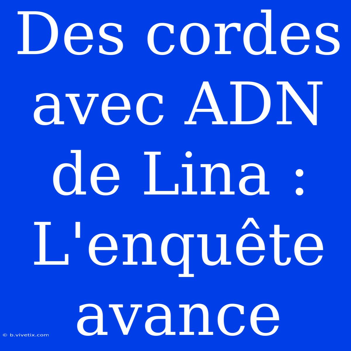 Des Cordes Avec ADN De Lina : L'enquête Avance