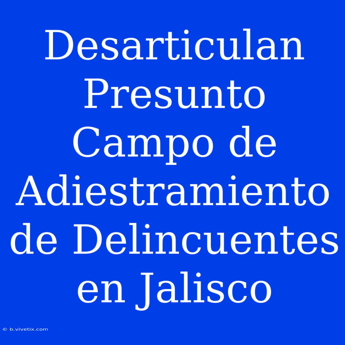 Desarticulan Presunto Campo De Adiestramiento De Delincuentes En Jalisco