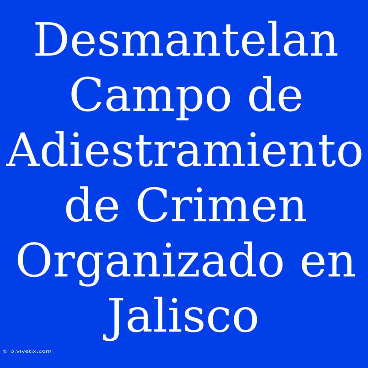 Desmantelan Campo De Adiestramiento De Crimen Organizado En Jalisco