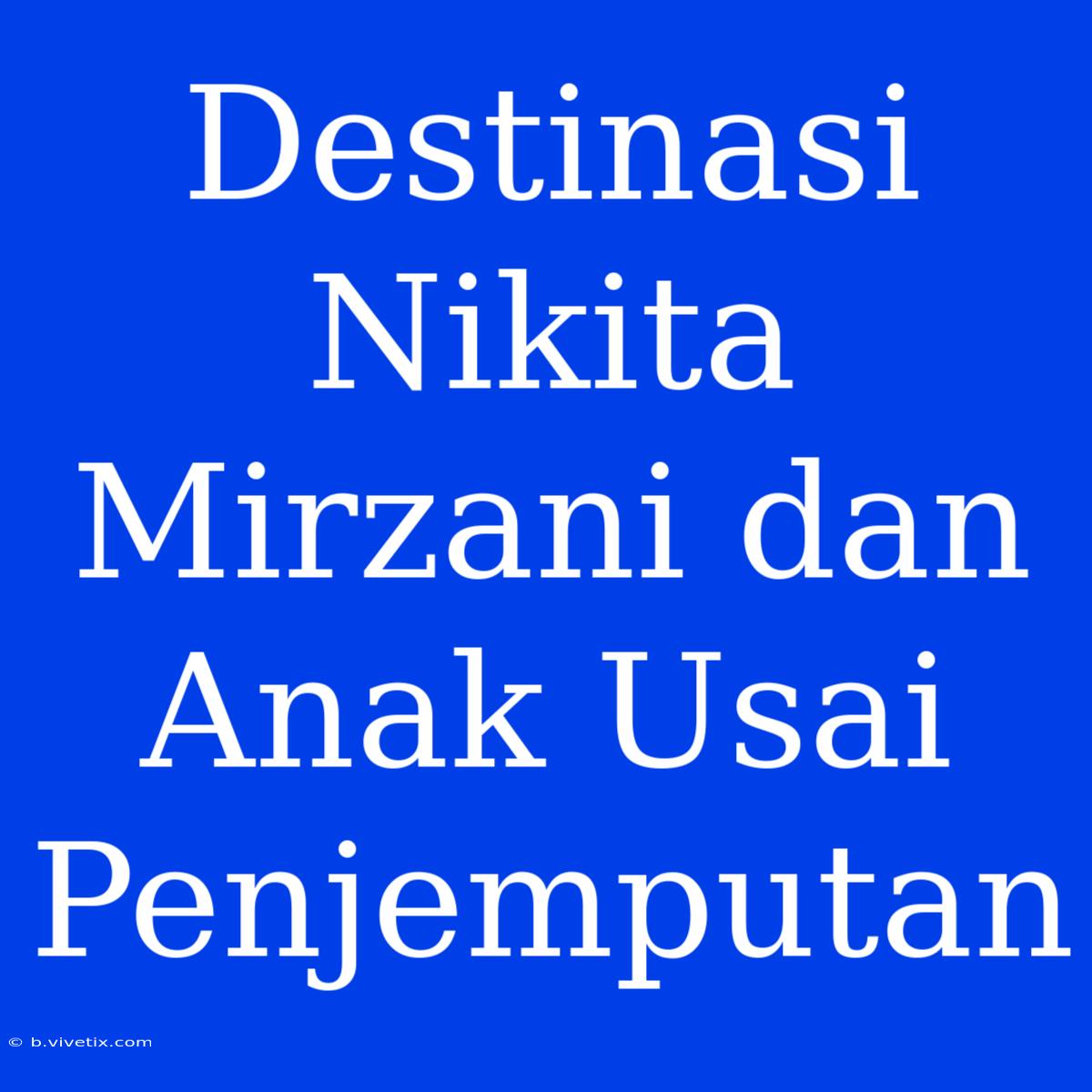 Destinasi Nikita Mirzani Dan Anak Usai Penjemputan