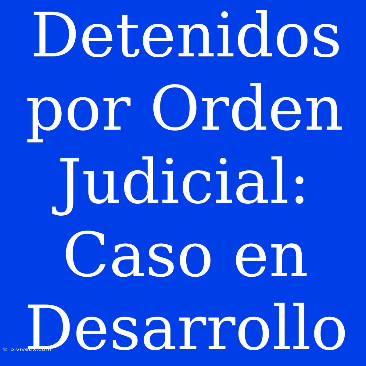 Detenidos Por Orden Judicial: Caso En Desarrollo 