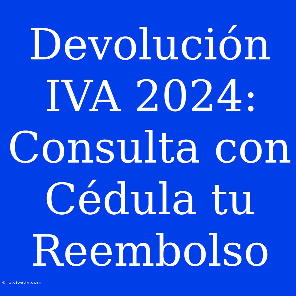 Devolución IVA 2024: Consulta Con Cédula Tu Reembolso