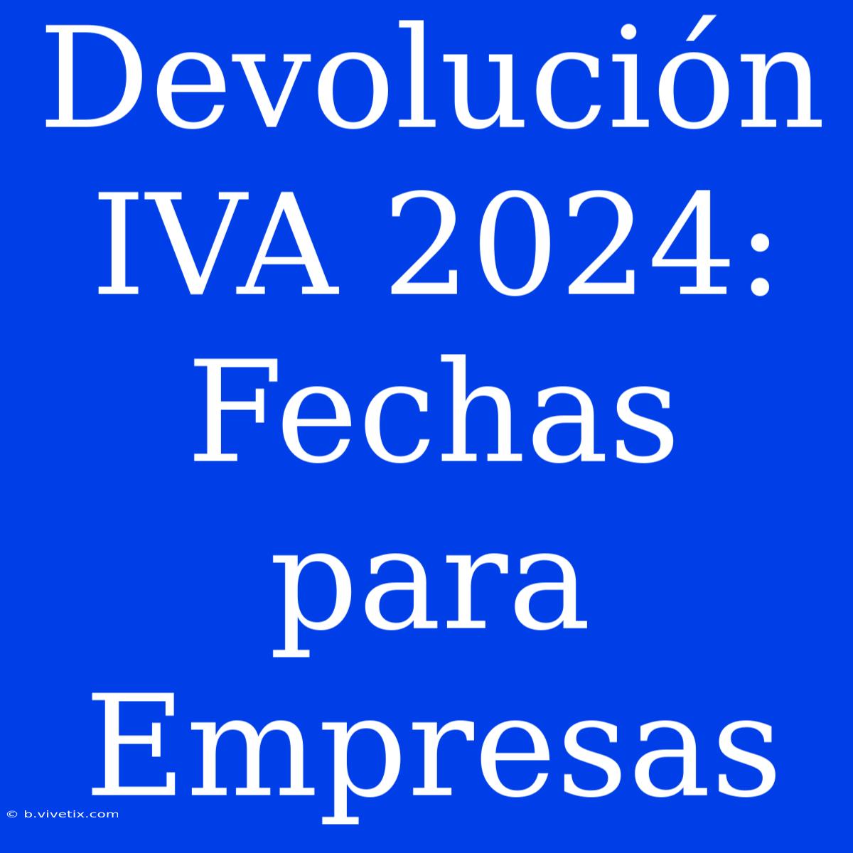 Devolución IVA 2024: Fechas Para Empresas