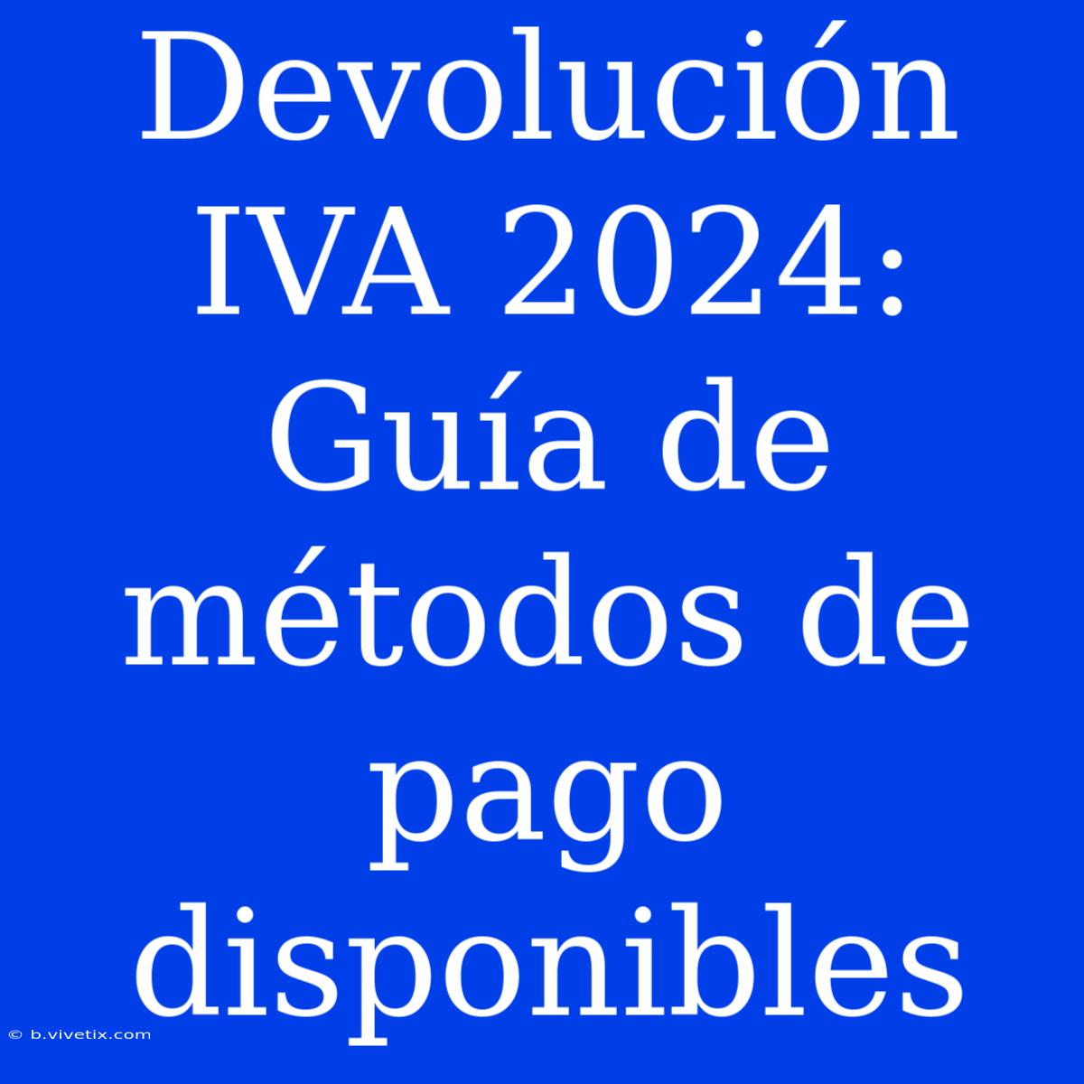 Devolución IVA 2024: Guía De Métodos De Pago Disponibles