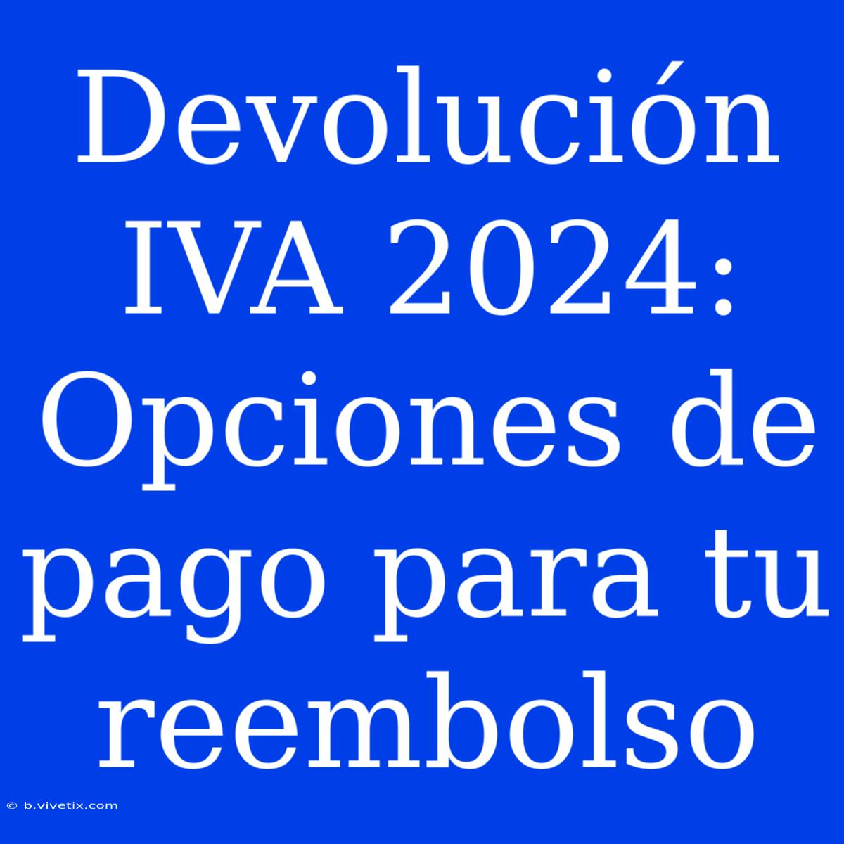 Devolución IVA 2024: Opciones De Pago Para Tu Reembolso