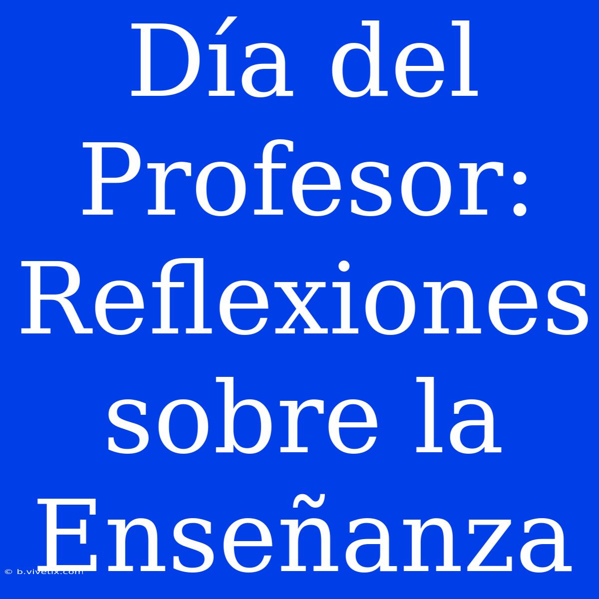 Día Del Profesor: Reflexiones Sobre La Enseñanza