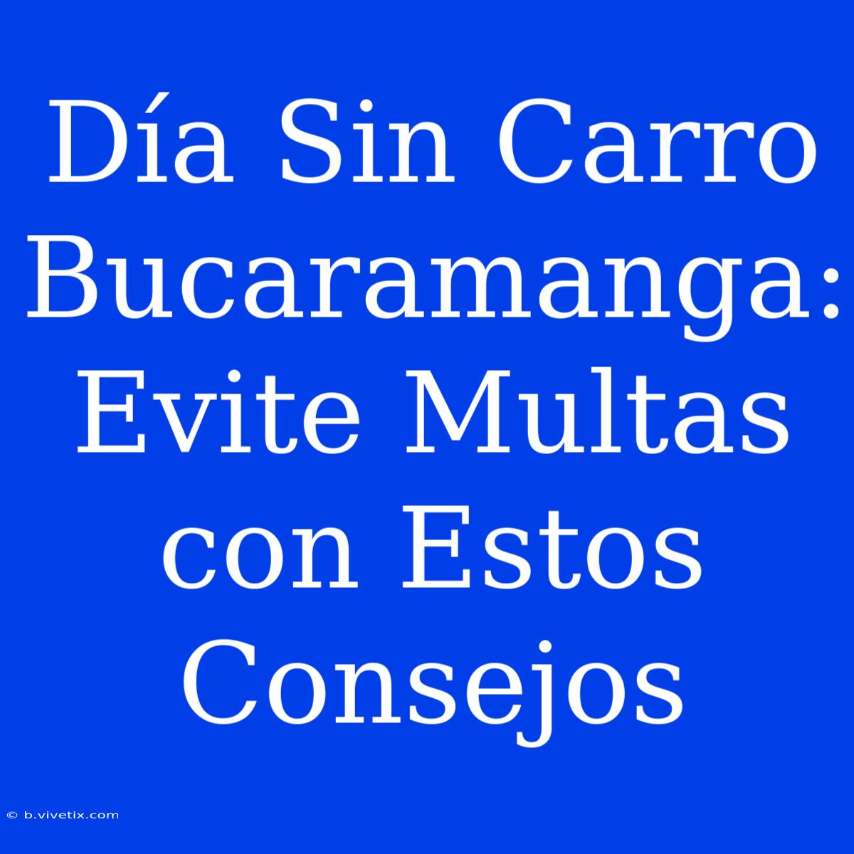 Día Sin Carro Bucaramanga: Evite Multas Con Estos Consejos