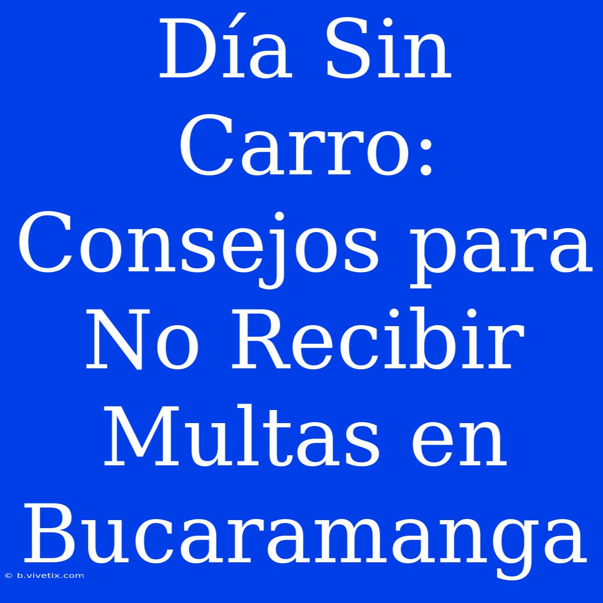 Día Sin Carro: Consejos Para No Recibir Multas En Bucaramanga