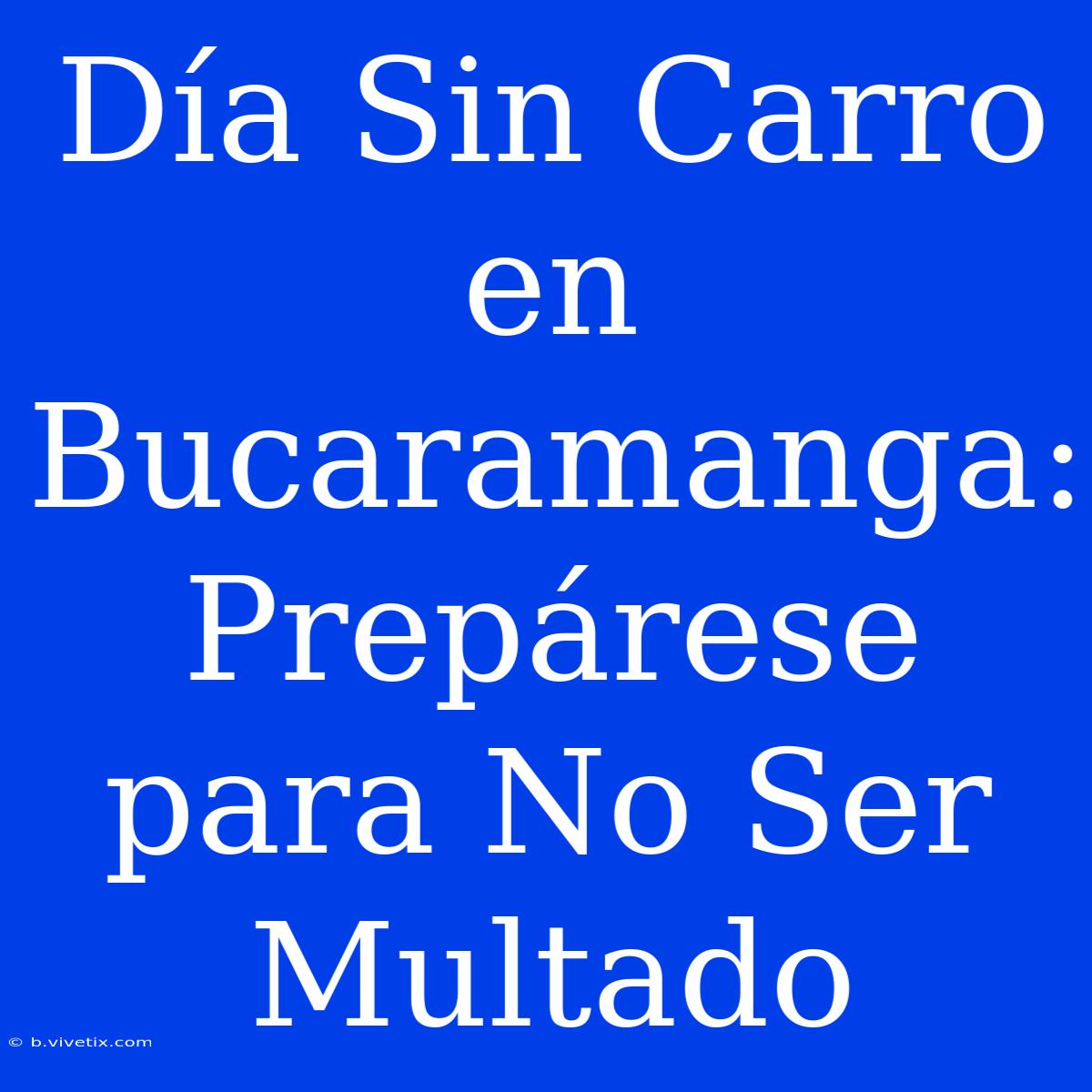 Día Sin Carro En Bucaramanga: Prepárese Para No Ser Multado