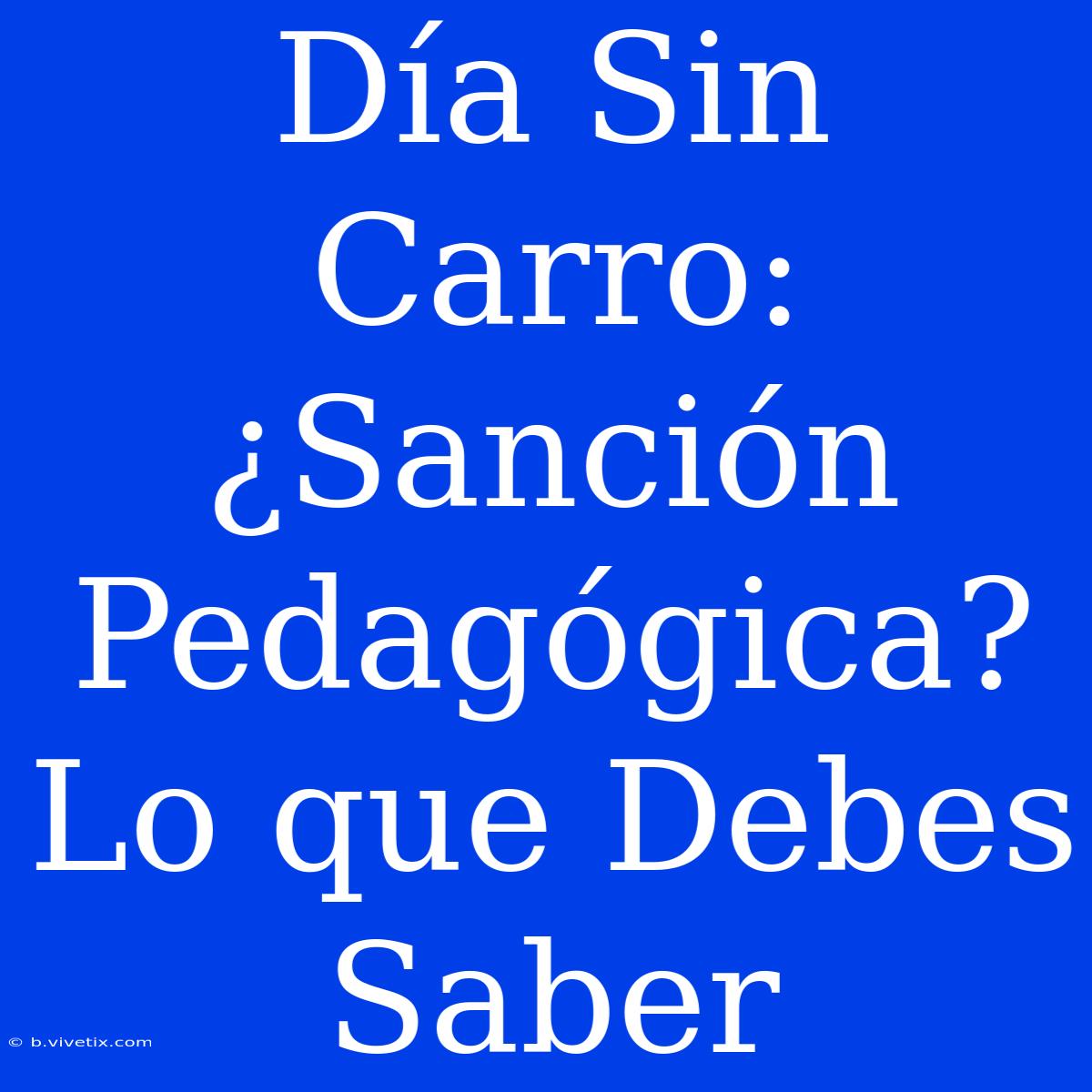 Día Sin Carro:  ¿Sanción Pedagógica? Lo Que Debes Saber