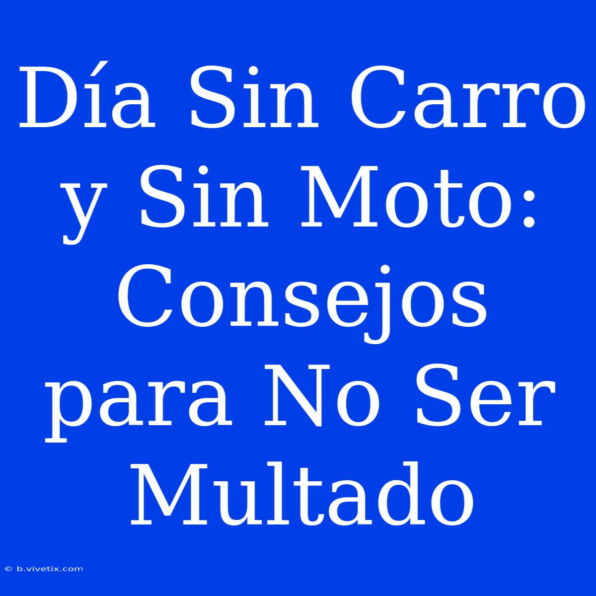 Día Sin Carro Y Sin Moto: Consejos Para No Ser Multado