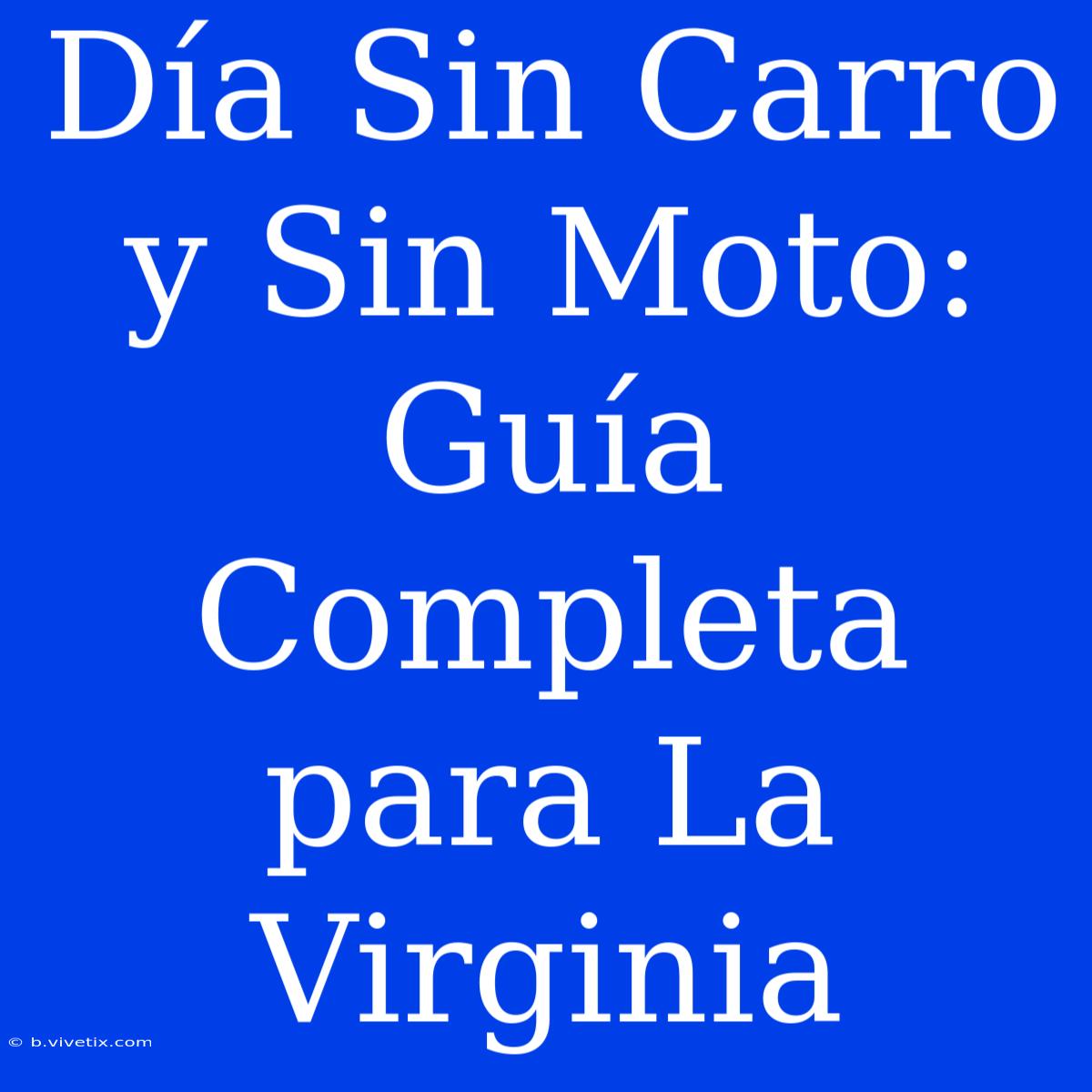 Día Sin Carro Y Sin Moto: Guía Completa Para La Virginia