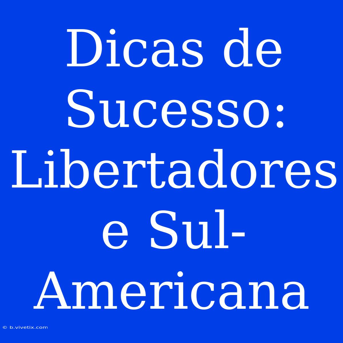 Dicas De Sucesso: Libertadores E Sul-Americana