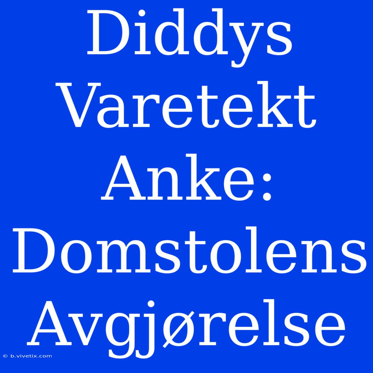 Diddys Varetekt Anke: Domstolens Avgjørelse