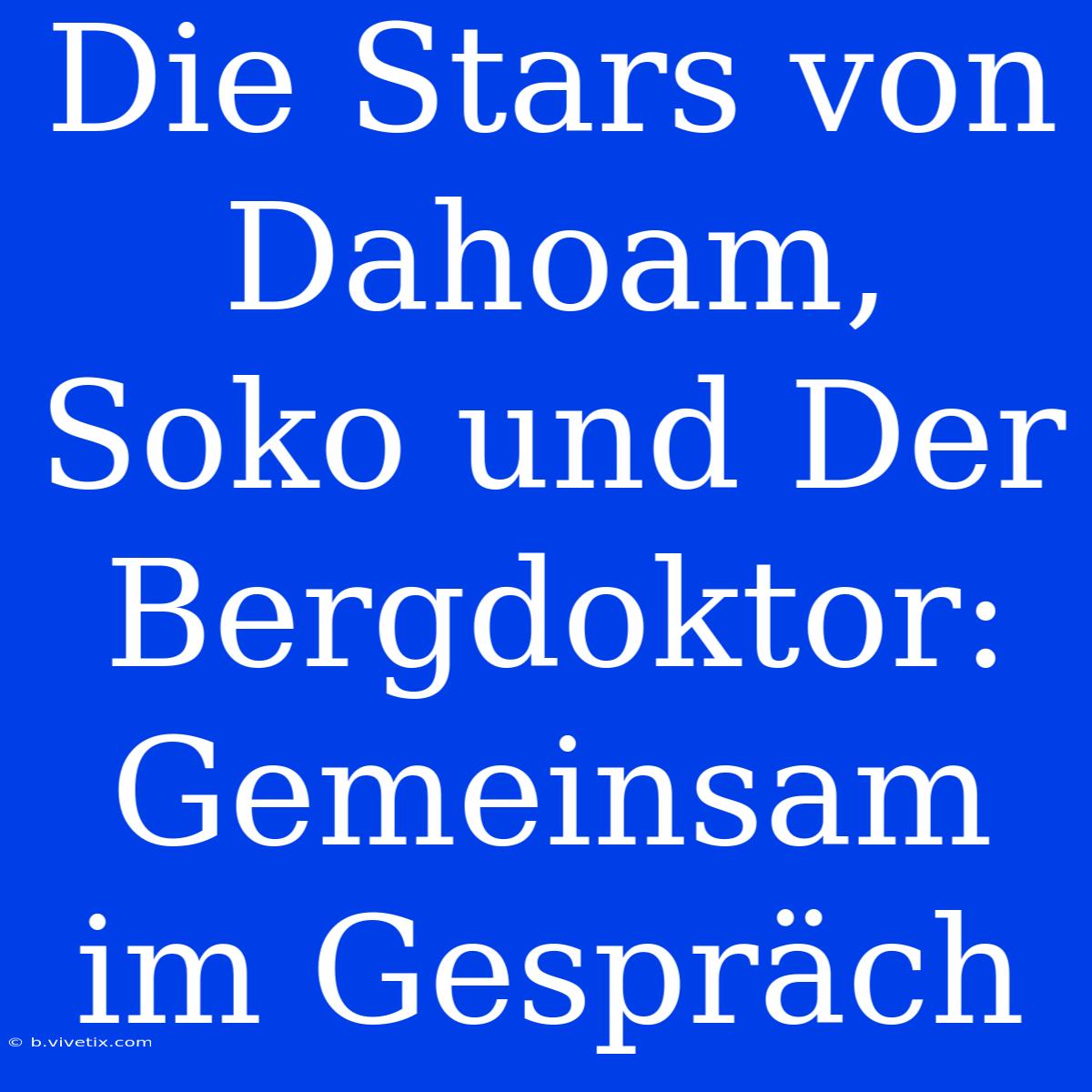 Die Stars Von Dahoam, Soko Und Der Bergdoktor: Gemeinsam Im Gespräch 