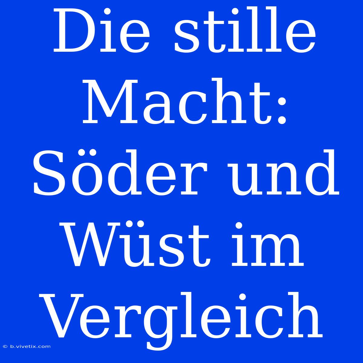 Die Stille Macht: Söder Und Wüst Im Vergleich