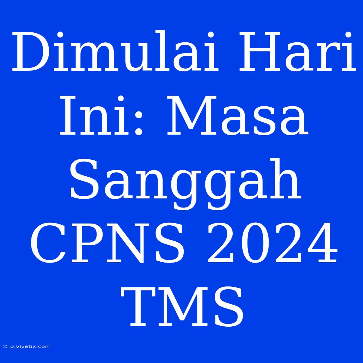 Dimulai Hari Ini: Masa Sanggah CPNS 2024 TMS